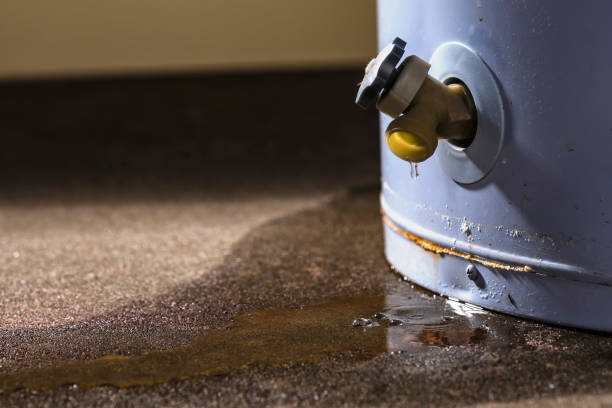 Best Water damage cleanup near me  in Fairland, MD
