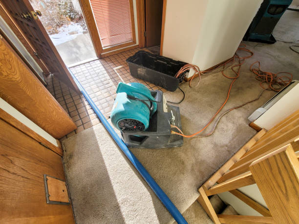Best Carpet water damage restoration  in Fairland, MD