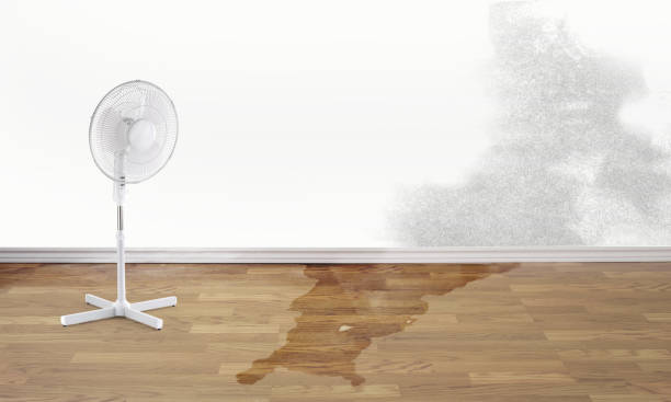 Fire Damage Restoration in Fairland, MD