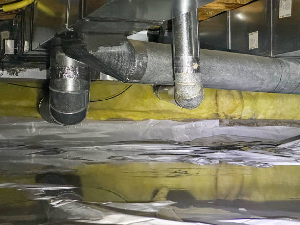 Best Flood damage cleanup  in Fairland, MD